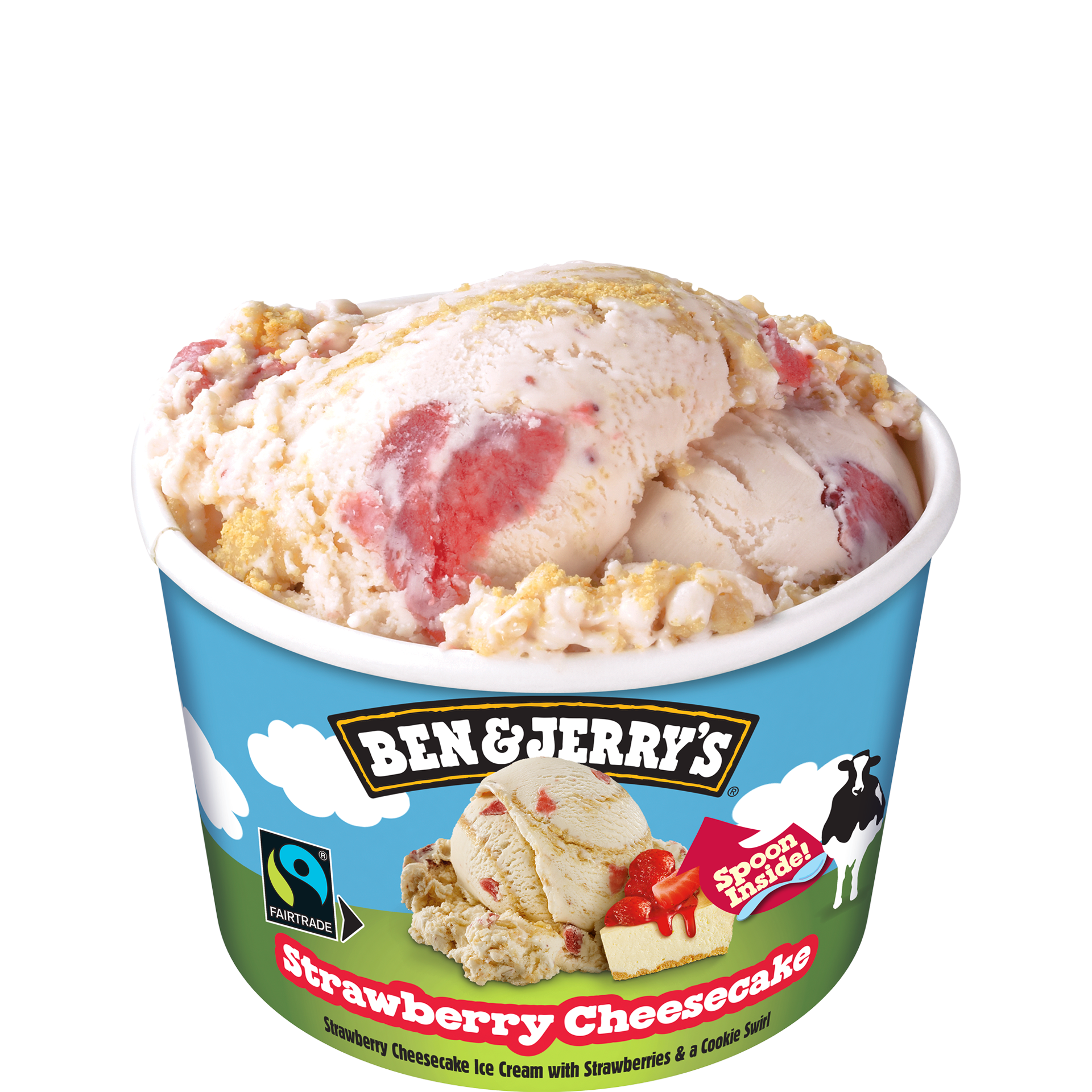 Ben and jerry's outlet vanilla